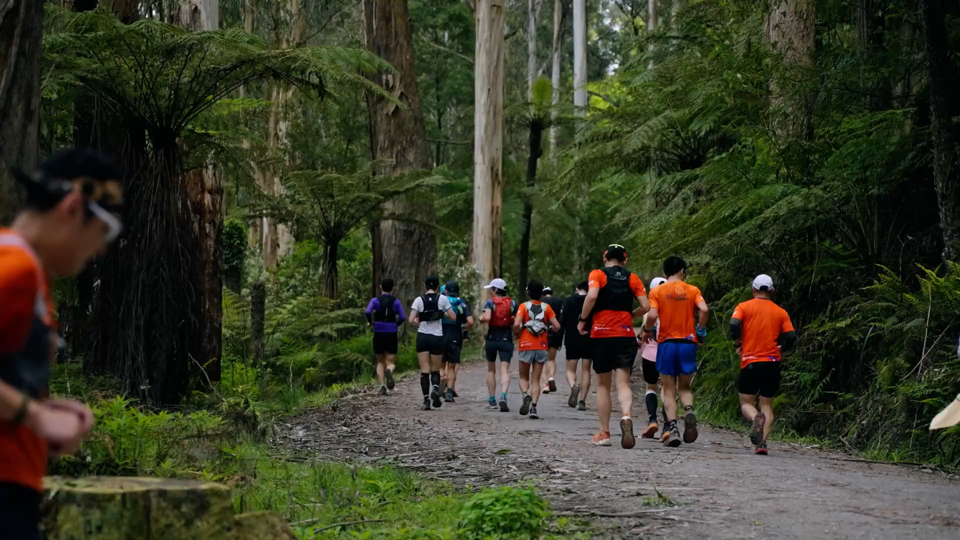 持续学习不迷路/户外应急上网设备开箱/星链Starlink mini版卫星接收端/只要有天空就可以上网