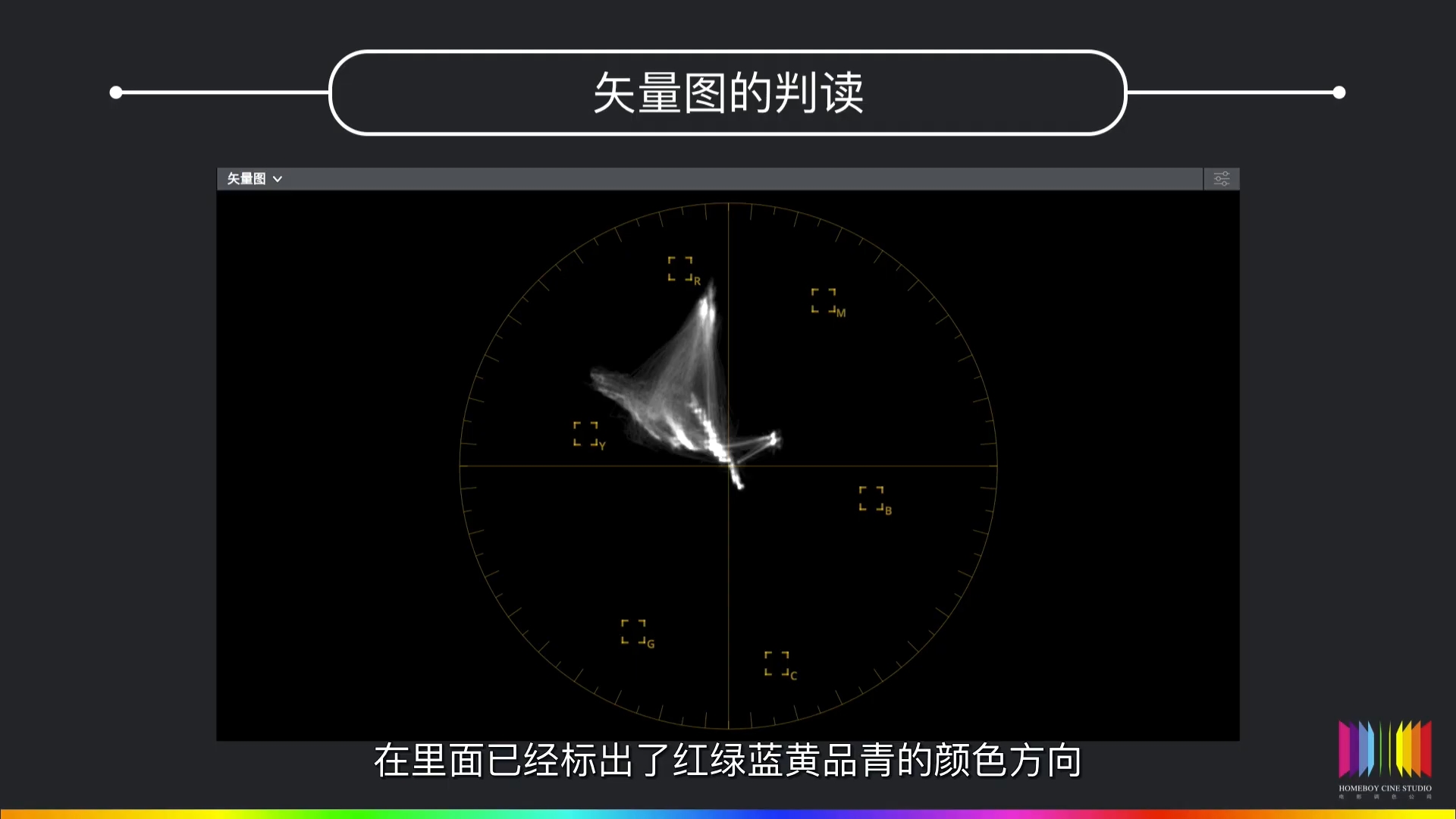 学习学习再学习/达芬奇调色之矢量图/调色基础知识难点