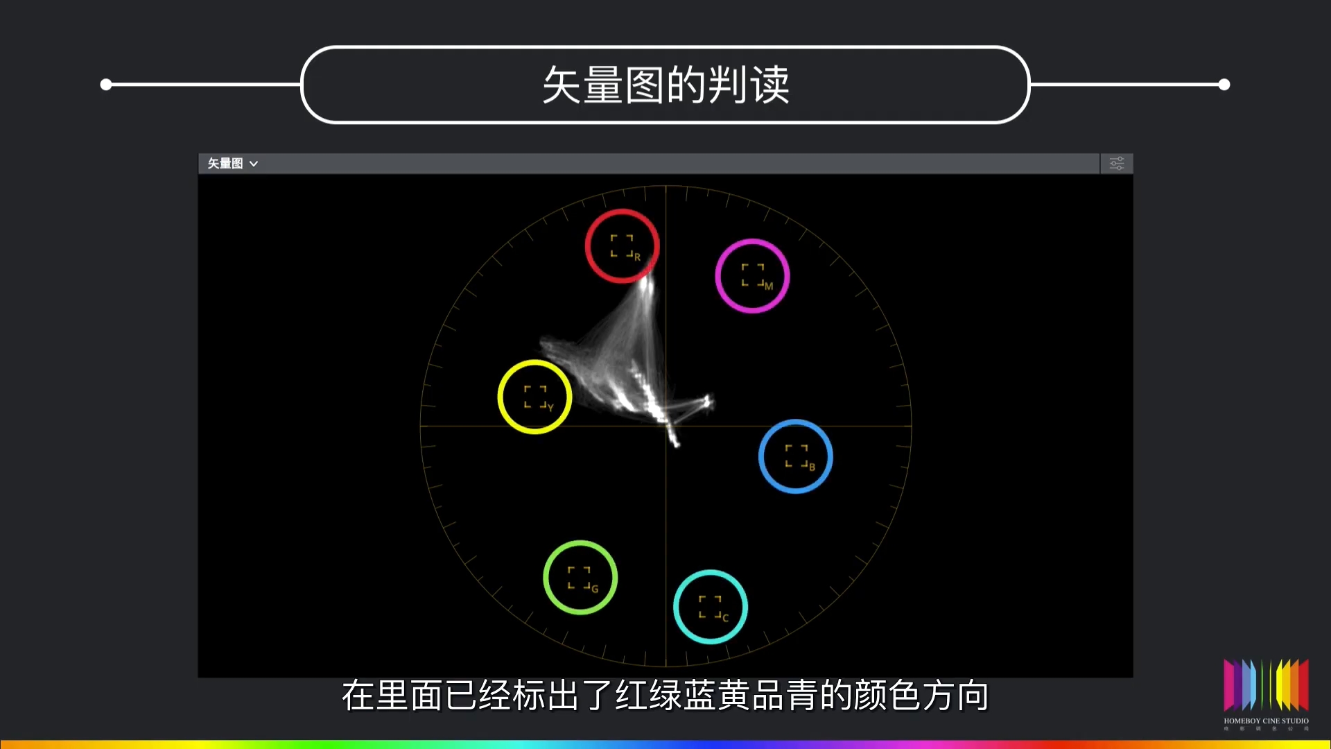 学习学习再学习/达芬奇调色之矢量图/调色基础知识难点