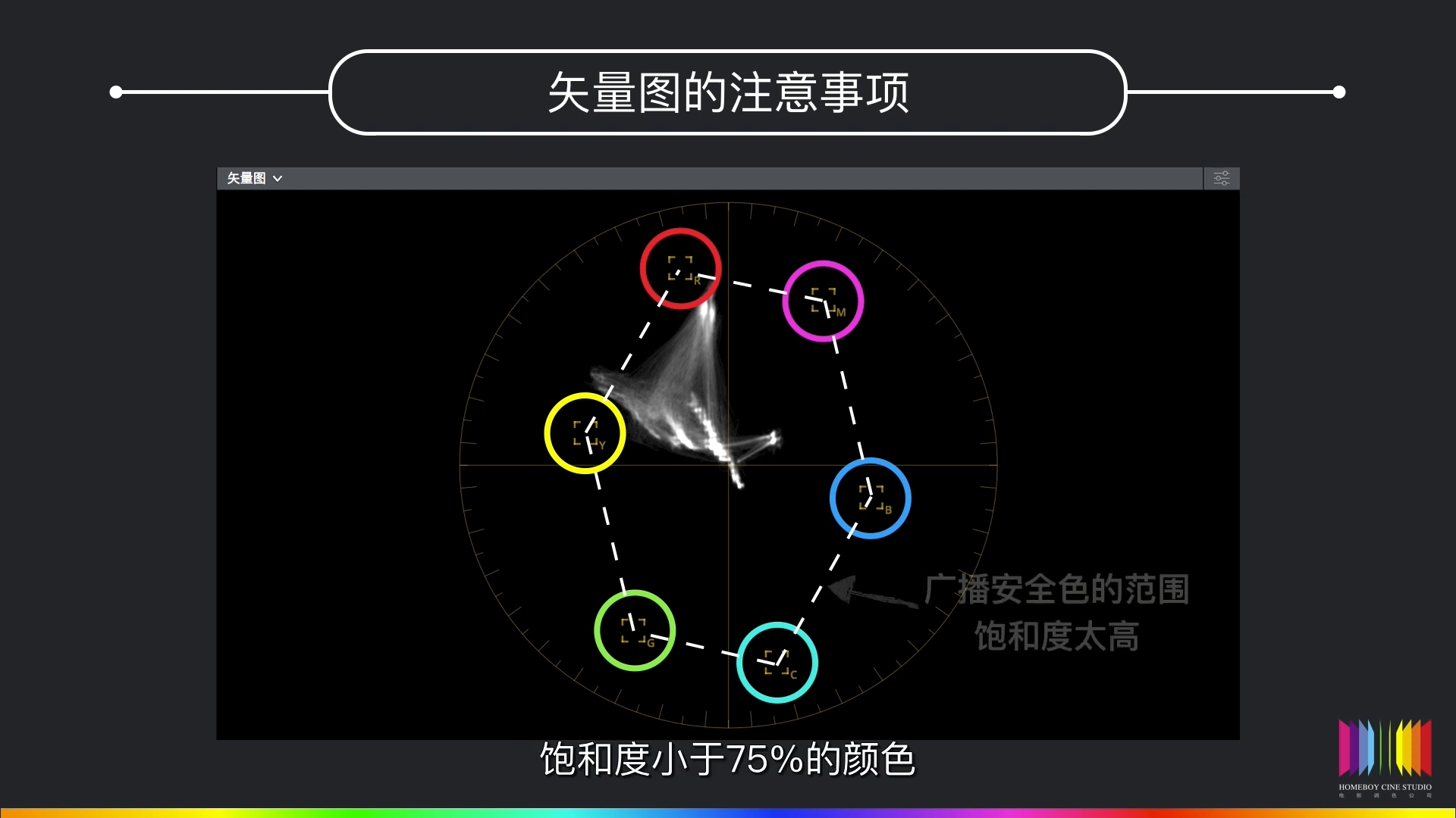 学习学习再学习/达芬奇调色之矢量图/调色基础知识难点