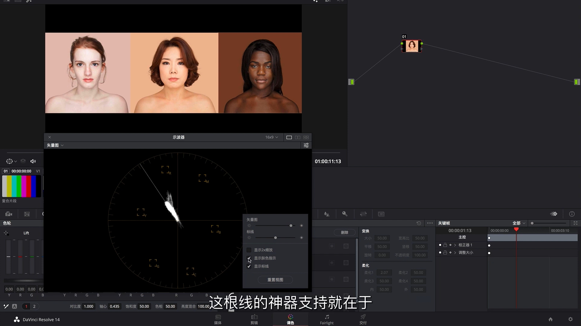 学习学习再学习/达芬奇调色之矢量图/调色基础知识难点