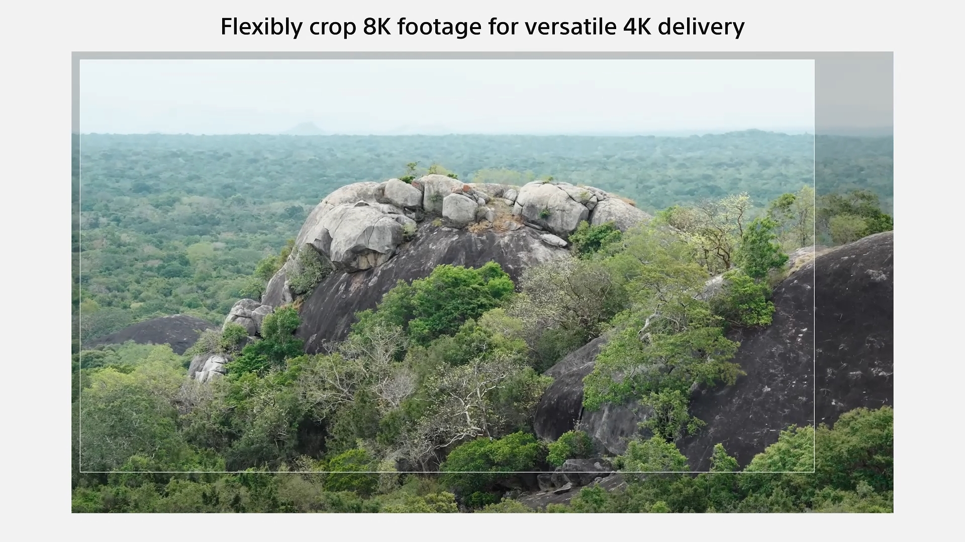 新机鉴赏/Alpha 1 II | Sony | α /索尼大法/牛叉的不要不要的/来来闻闻，尝尝鲜